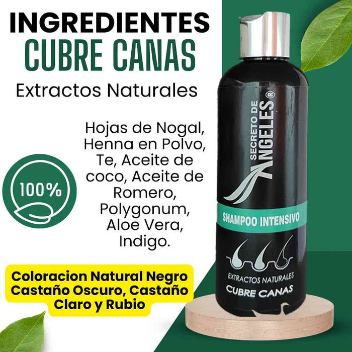 Shampoo Cubre Canas + Colágeno & Exfoliante GRATIS