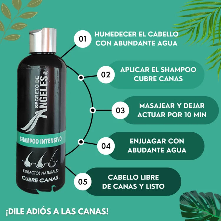 Shampoo Cubre Canas + Colágeno & Exfoliante GRATIS